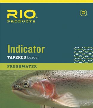 RIO Indicator Leaders